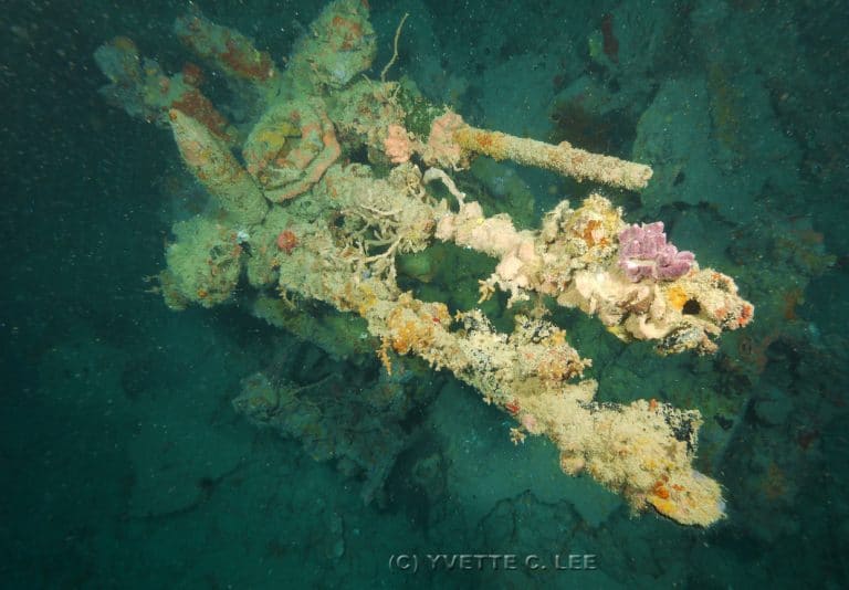 Shipwrecks worth exploring in Coron | Discovery Fleet Philippines